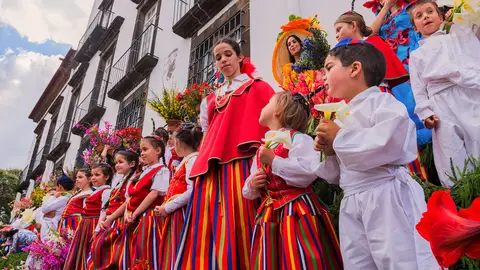 Cortejo Infantil Las flores invaden Madeira