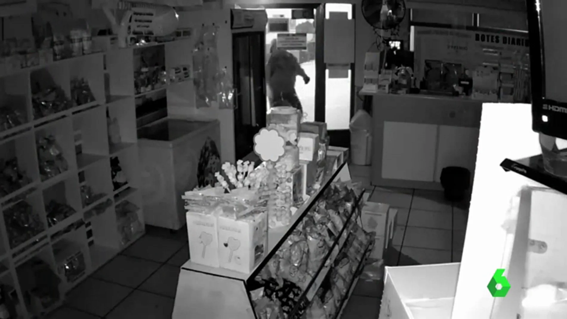 Jóvenes entran en una tienda a robar