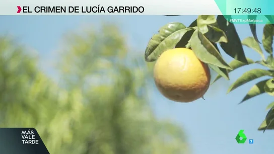 LUCIA GARRIDO LUCIA GARRIDO