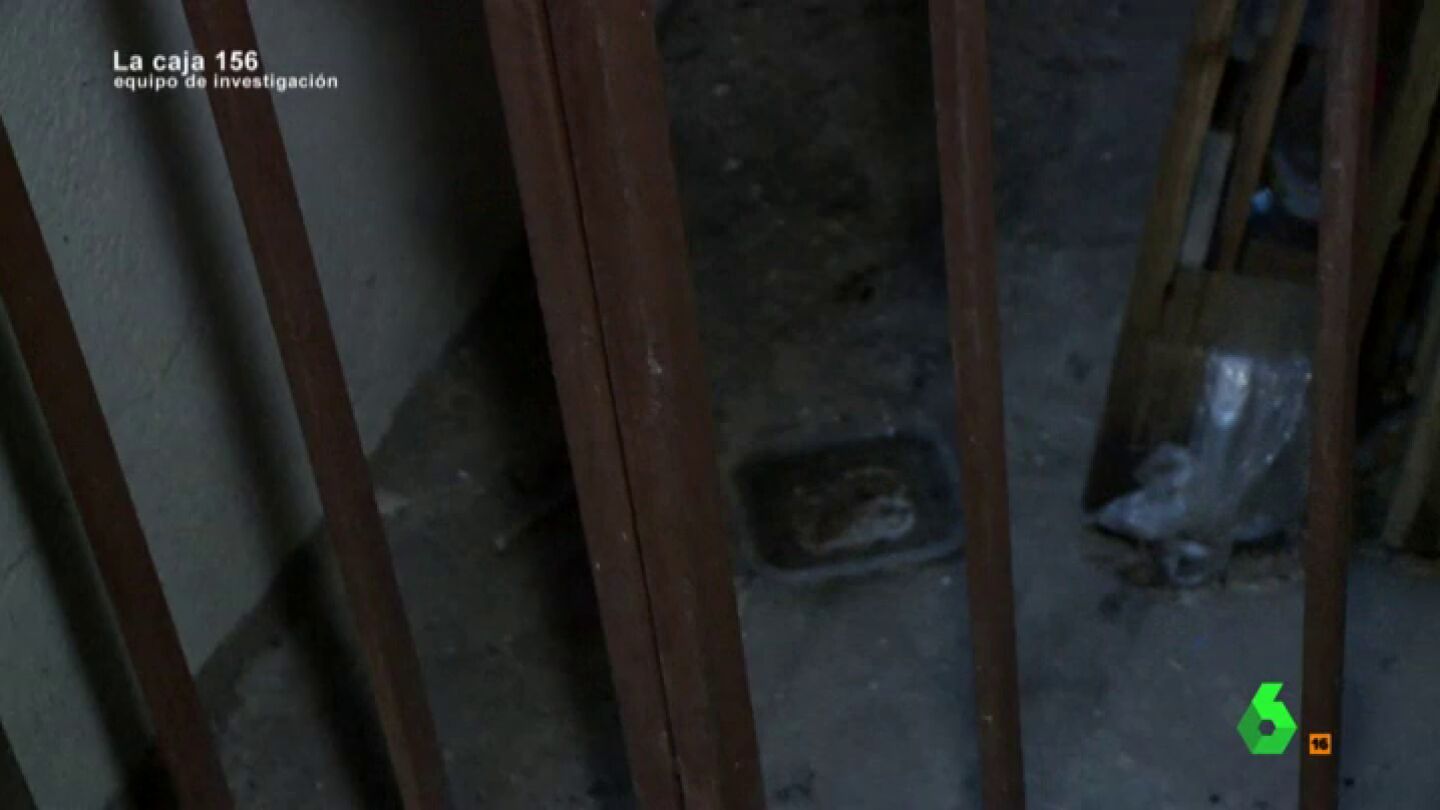 Un semis&oacute;tano donde empieza el t&uacute;nel