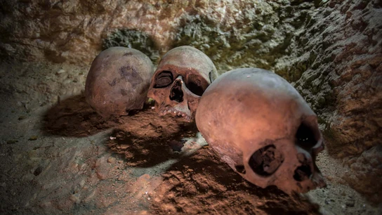 Descubren un cementerio de sacerdotes del siglo IV a.C. en el valle del Nilo Descubren un cementerio de sacerdotes del siglo IV a.C. en el valle del Nilo