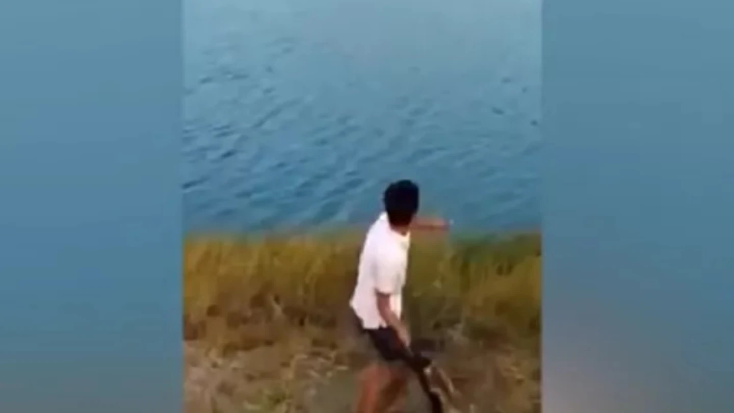 Imagen del joven lanzando al animal al agua Imagen del joven lanzando al animal al agua