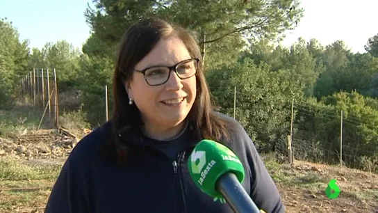 Reyes Martí Reyes Martí