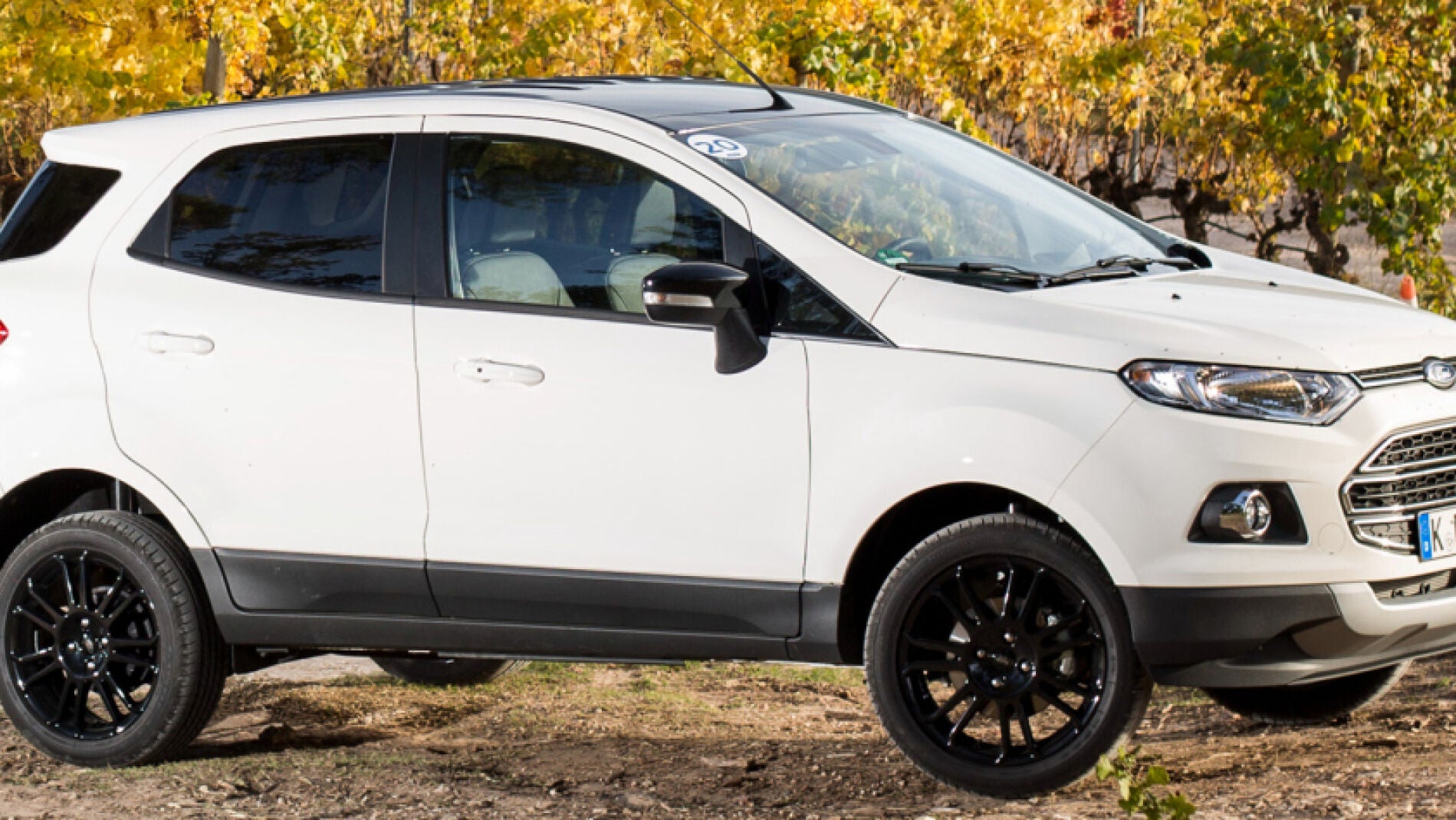 ford_ecosport_s_11.jpg
