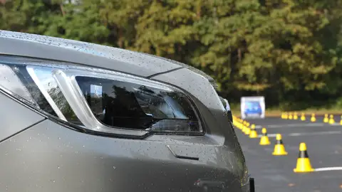 EyeSight-3.jpg EyeSight 3