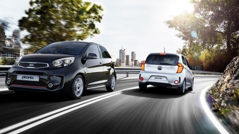 picanto
