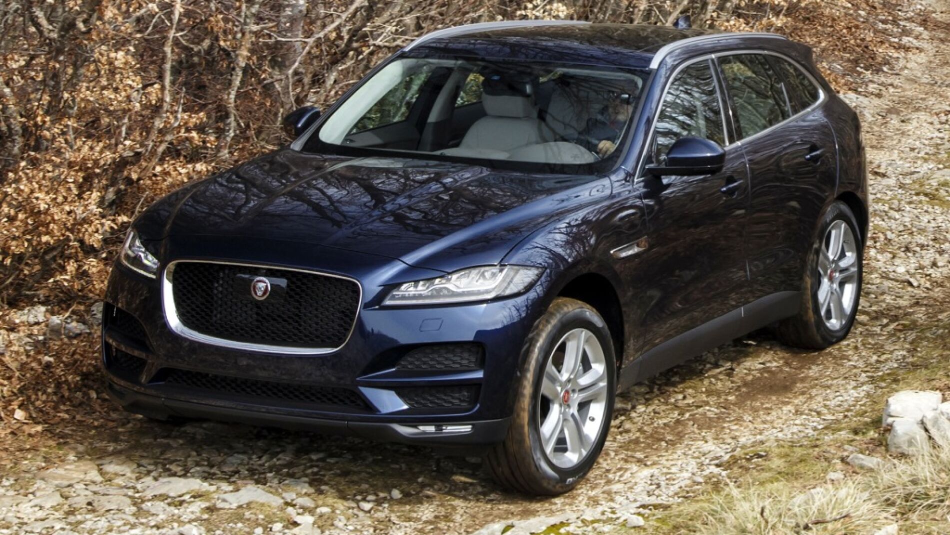 jaguar-f-pace15.jpg