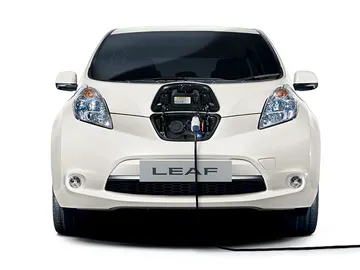 LEAF5.jpg LEAF5.jpg