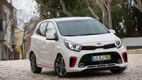 kiapicanto6