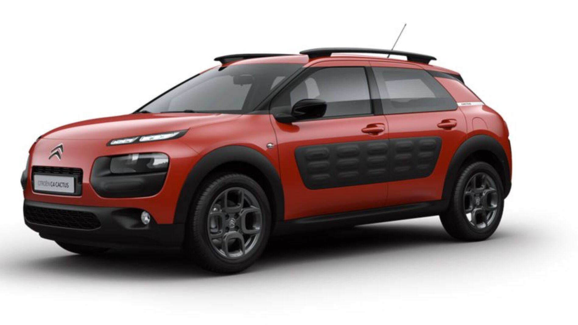 c4cactus.jpg