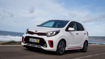 kiapicanto4.jpg kiapicanto4.jpg
