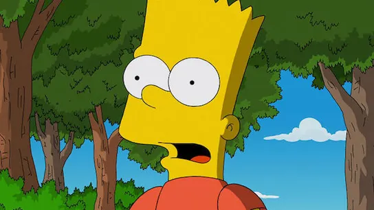 Bart-Simpson.jpg Liopardo