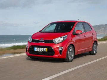 kiapicanto13.jpg kiapicanto13.jpg