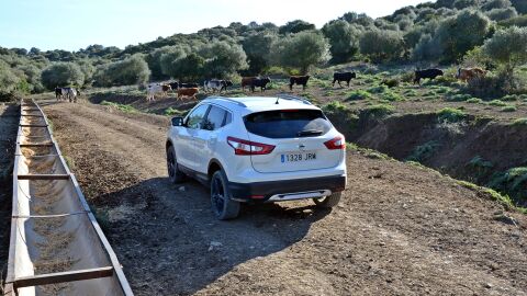 nissan-qashqai-contacto-0217-008