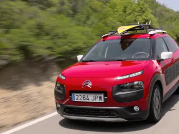 CACTUS-RIP-CURL1.png CACTUS-RIP-CURL1.png