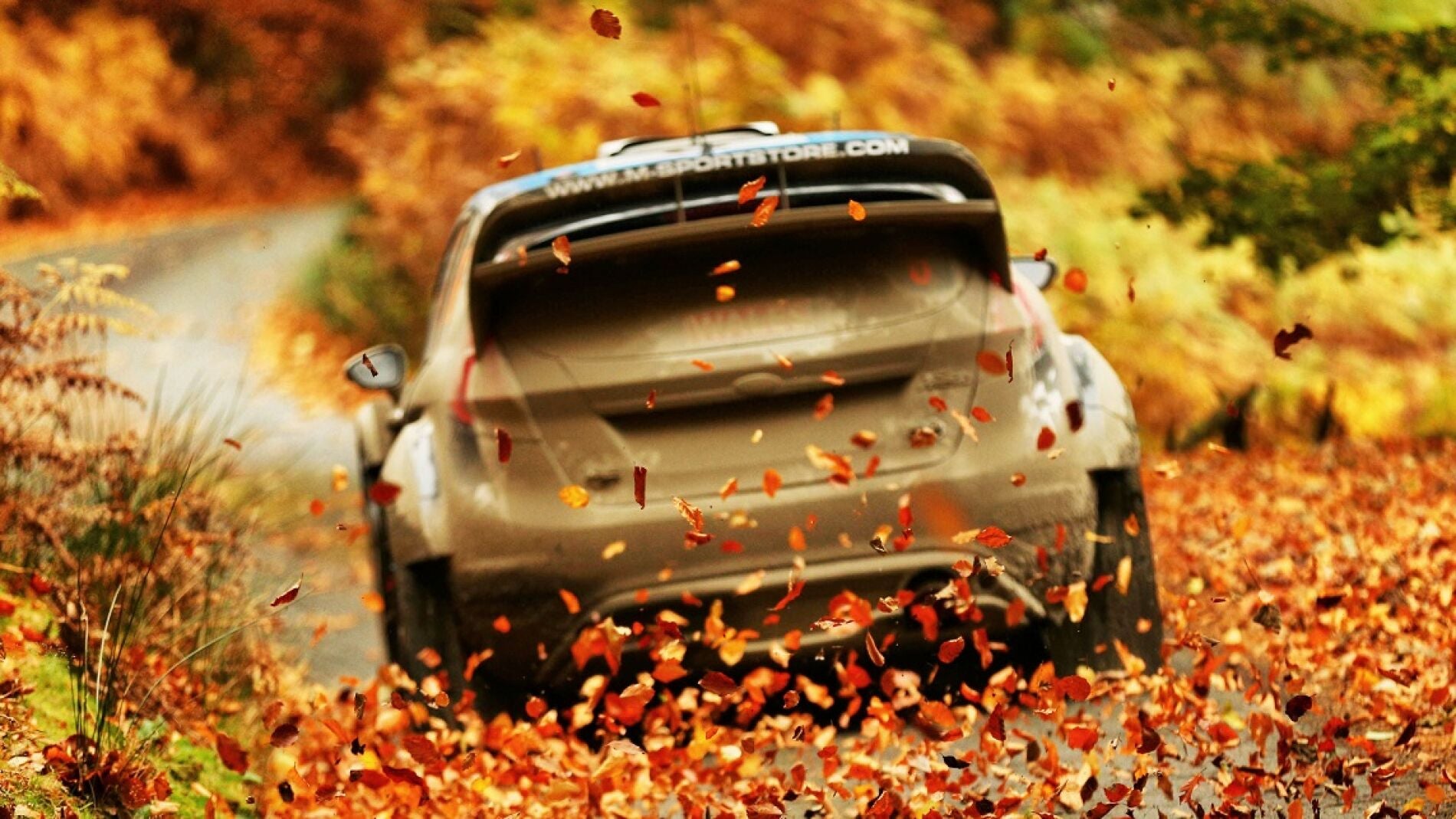 WRC_2016_13_Rally_WalesGB-FORD.jpg