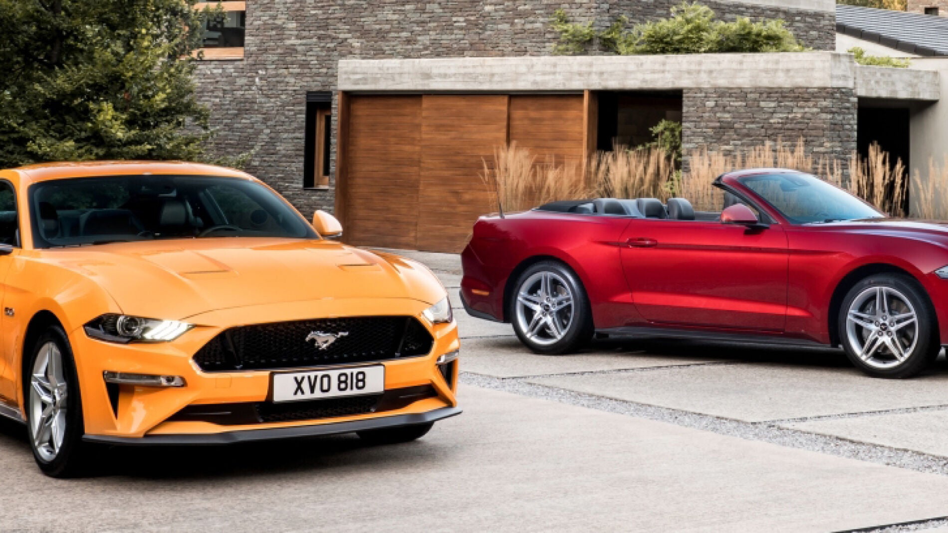 ford_mustang_614.jpg