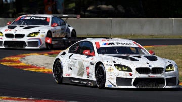 CC-IMSA-BMW-GTE-2016.jpg