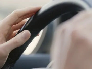 jilguero.jpg jilguero.jpg