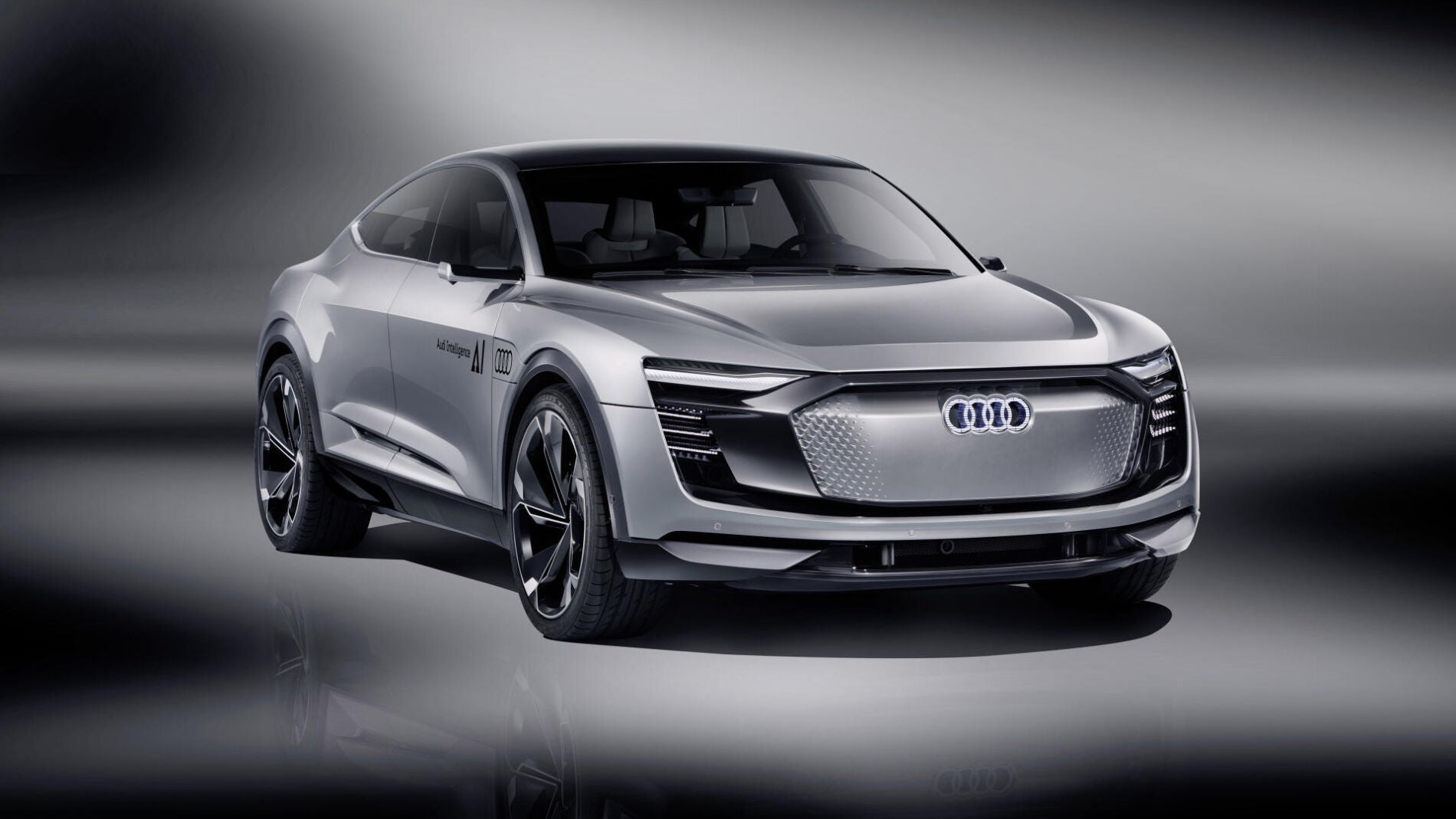audi-elaine-0917-02.jpg