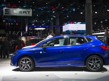 ibizatgi.jpg ibizatgi.jpg