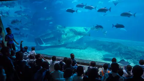 Ushaka Marine World en Durban Propuestas para disfrutar de Sudáfrica en familia