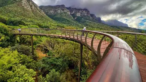 Treetop Canopy Walkaway Propuestas para disfrutar de Sudáfrica en familia
