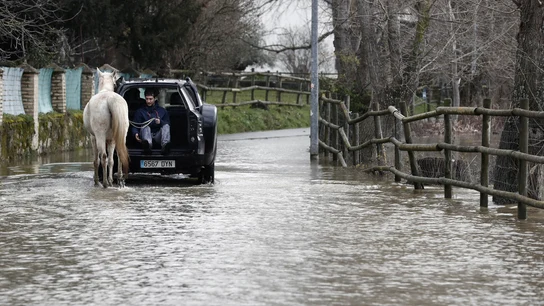 Un joven montado en un vehículo ayuda a un caballo a pasar por una carretera inundada Un joven montado en un vehículo ayuda a un caballo a pasar por una carretera inundada