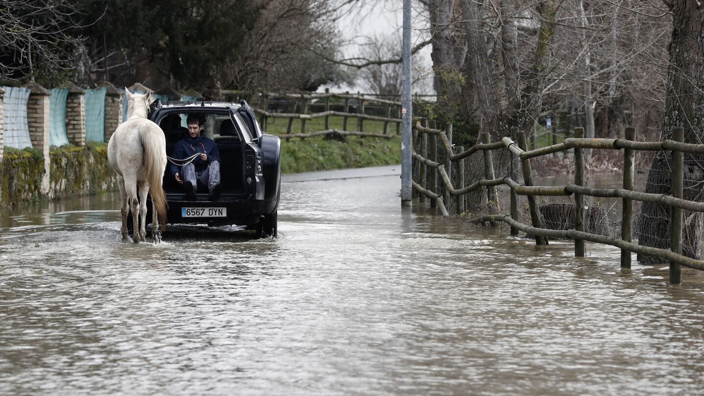 Un joven montado en un veh&iacute;culo ayuda a un caballo a pasar por una carretera inundada