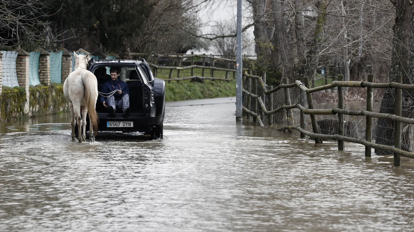 Un joven montado en un vehículo ayuda a un caballo a pasar por una carretera inundada Un joven montado en un vehículo ayuda a un caballo a pasar por una carretera inundada