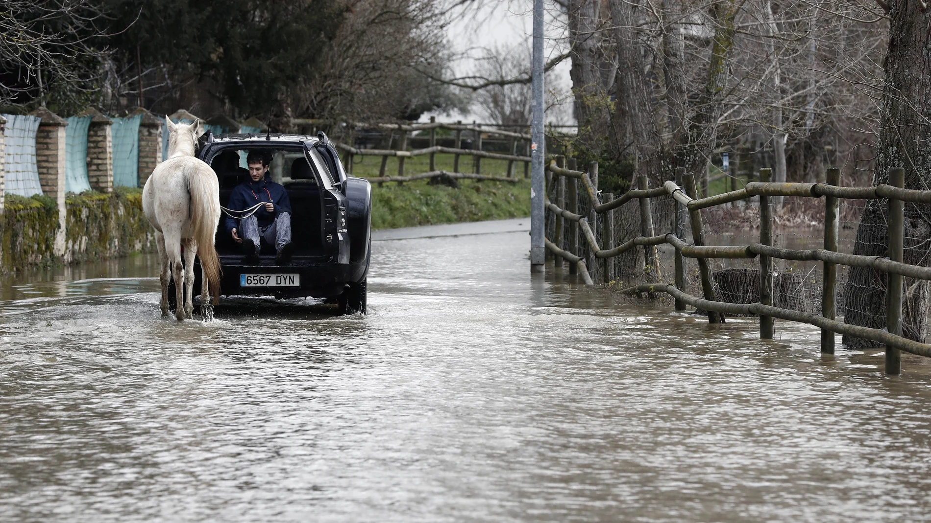Un joven montado en un vehículo ayuda a un caballo a pasar por una carretera inundada