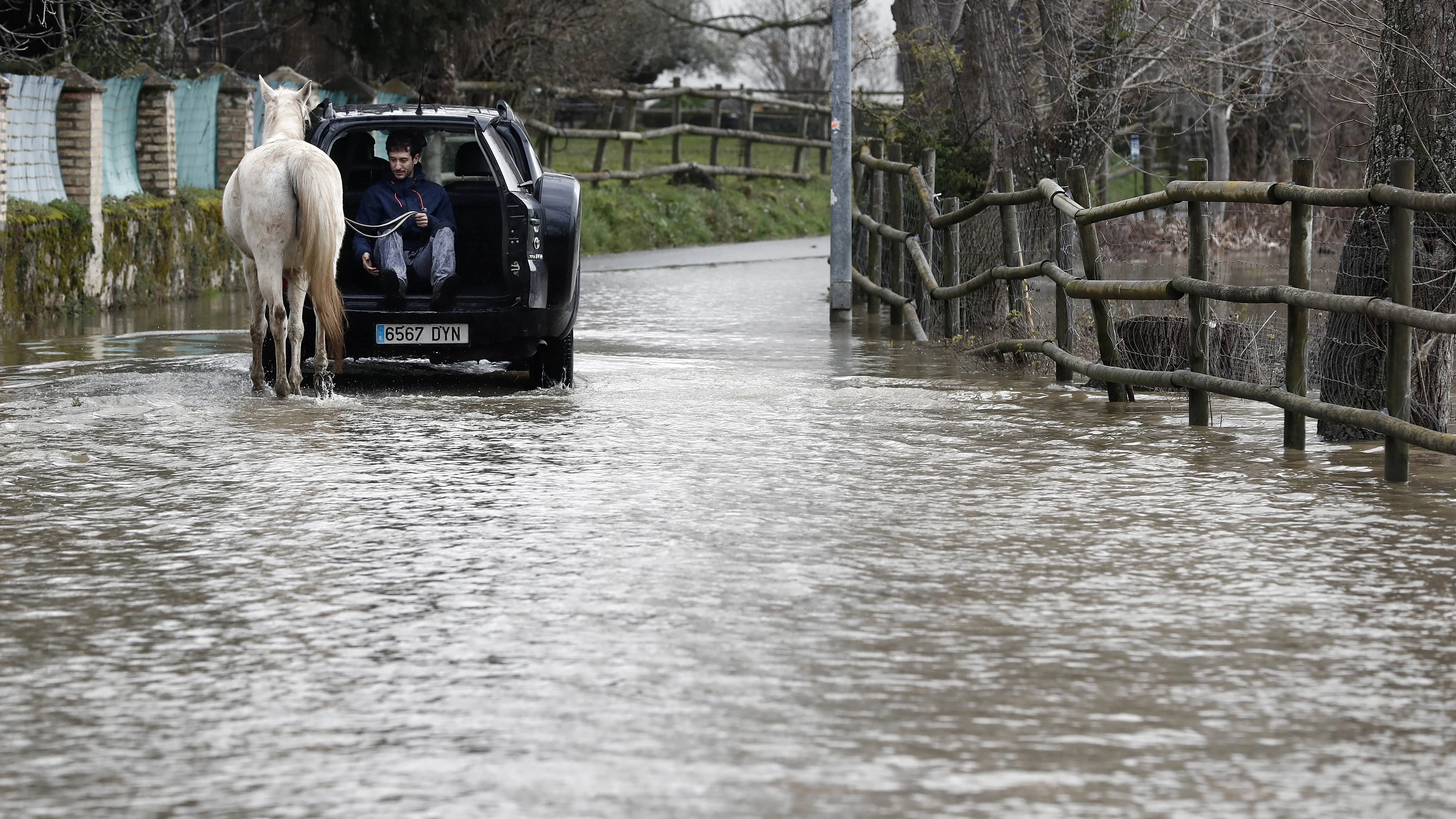 Un joven montado en un vehículo ayuda a un caballo a pasar por una carretera inundada