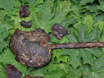 El misterioso ritual prehistórico del “lago de las cabezas cortadas” en Suecia
