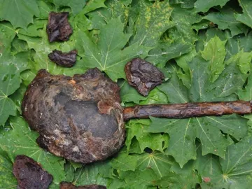 El misterioso ritual prehistórico del “lago de las cabezas cortadas” en Suecia El misterioso ritual prehistórico del “lago de las cabezas cortadas” en Suecia