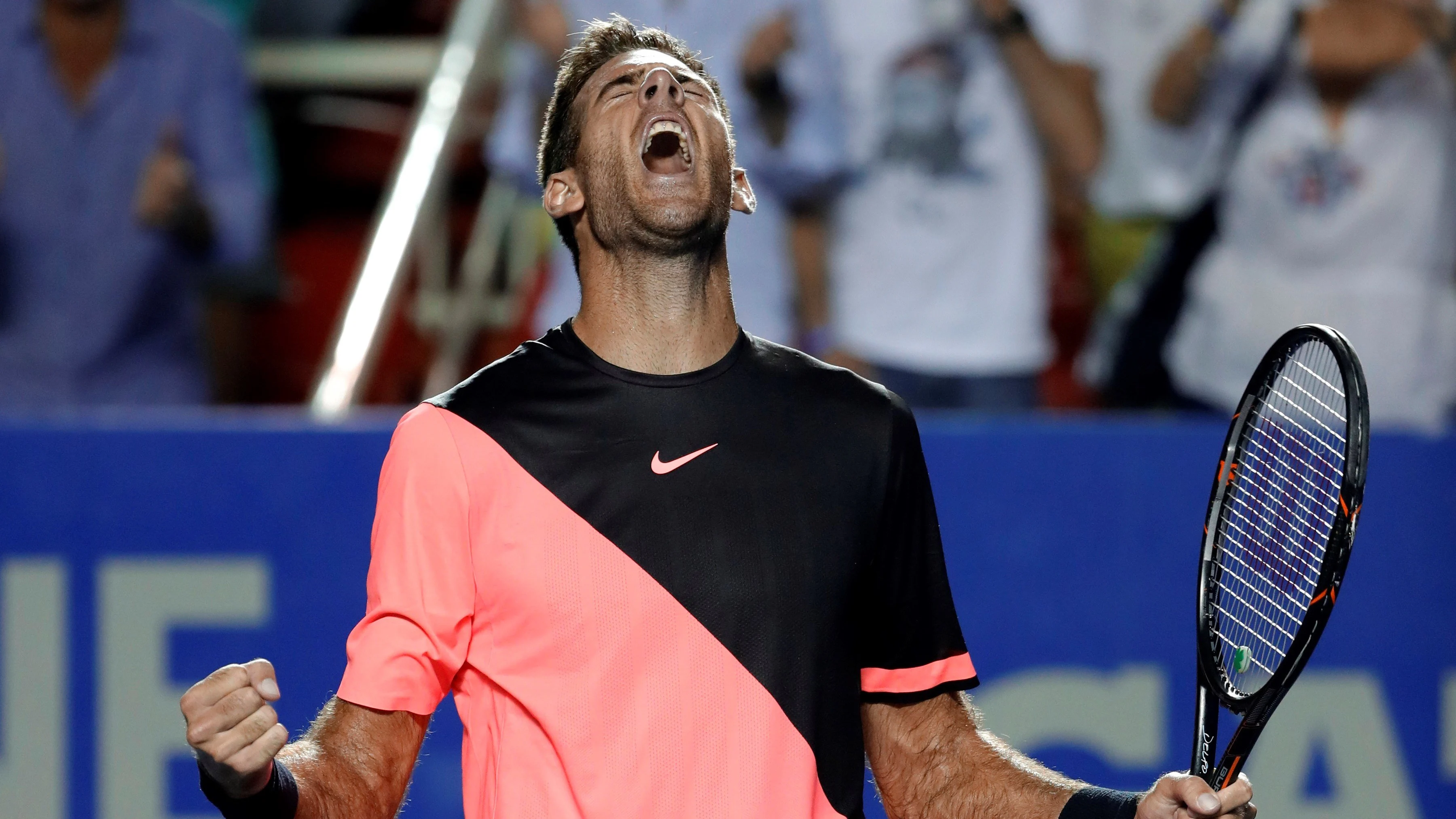 Del Potro, tras vencer a Thiem