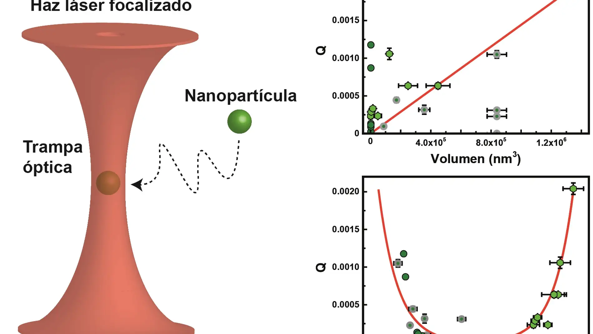 Representación esquemática de una partícula ópticamente atrapada. Representación gráfica de la fuerza óptica en función del volumen. Representación gráfica de fuerza óptica en función del potencial zeta.