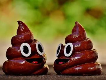 Dos iconos de la caca de WhatsApp Dos iconos de la caca de WhatsApp