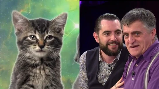 Dani Mateo tras ver un vídeo de gatos Dani Mateo tras ver un vídeo de gatos