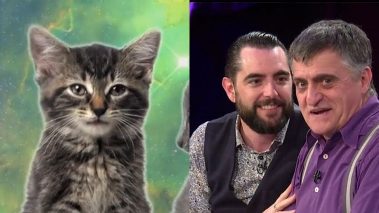 Dani Mateo tras ver un v&iacute;deo de gatos