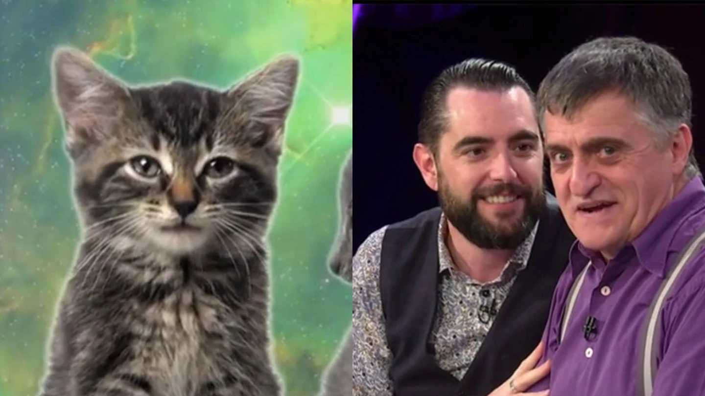 Dani Mateo tras ver un vídeo de gatos Dani Mateo tras ver un vídeo de gatos