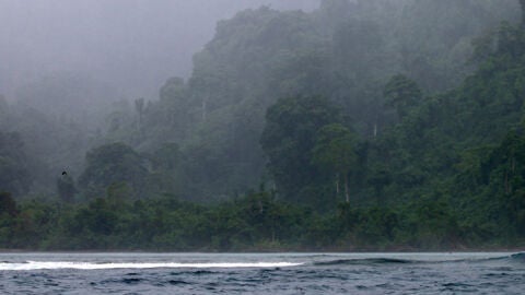 Isla tetepare, Islas Salomón