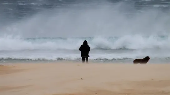 Una mujer pasea junto a su perro en la playa de los Lances en Tarifa (Cádiz) Una mujer pasea junto a su perro en la playa de los Lances en Tarifa (Cádiz)