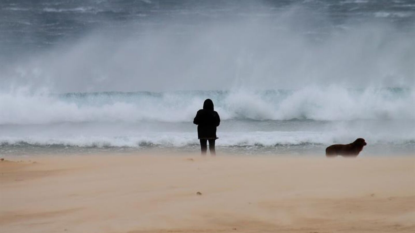 Una mujer pasea junto a su perro en la playa de los Lances en Tarifa (C&aacute;diz)