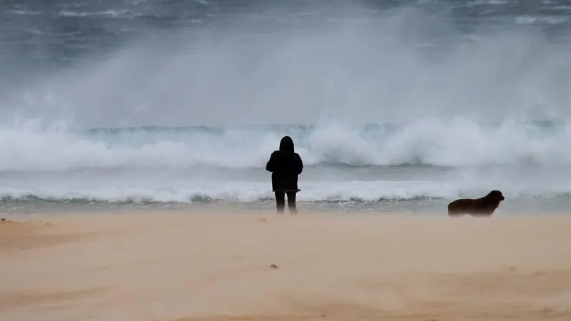 Una mujer pasea junto a su perro en la playa de los Lances en Tarifa (Cádiz)