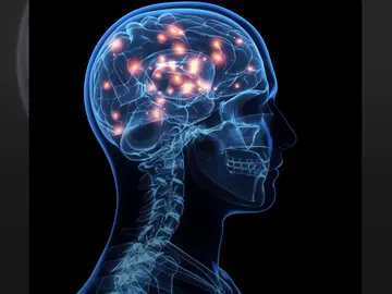 Un cerebro Un cerebro