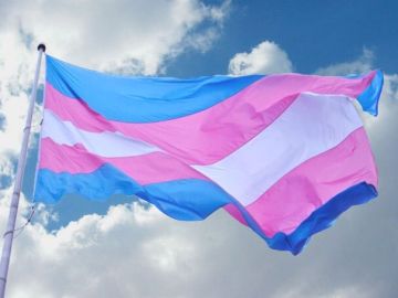 La bandera de las personas transexuales La bandera de las personas transexuales