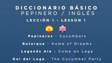 Diccionario básico pepinero - inglés