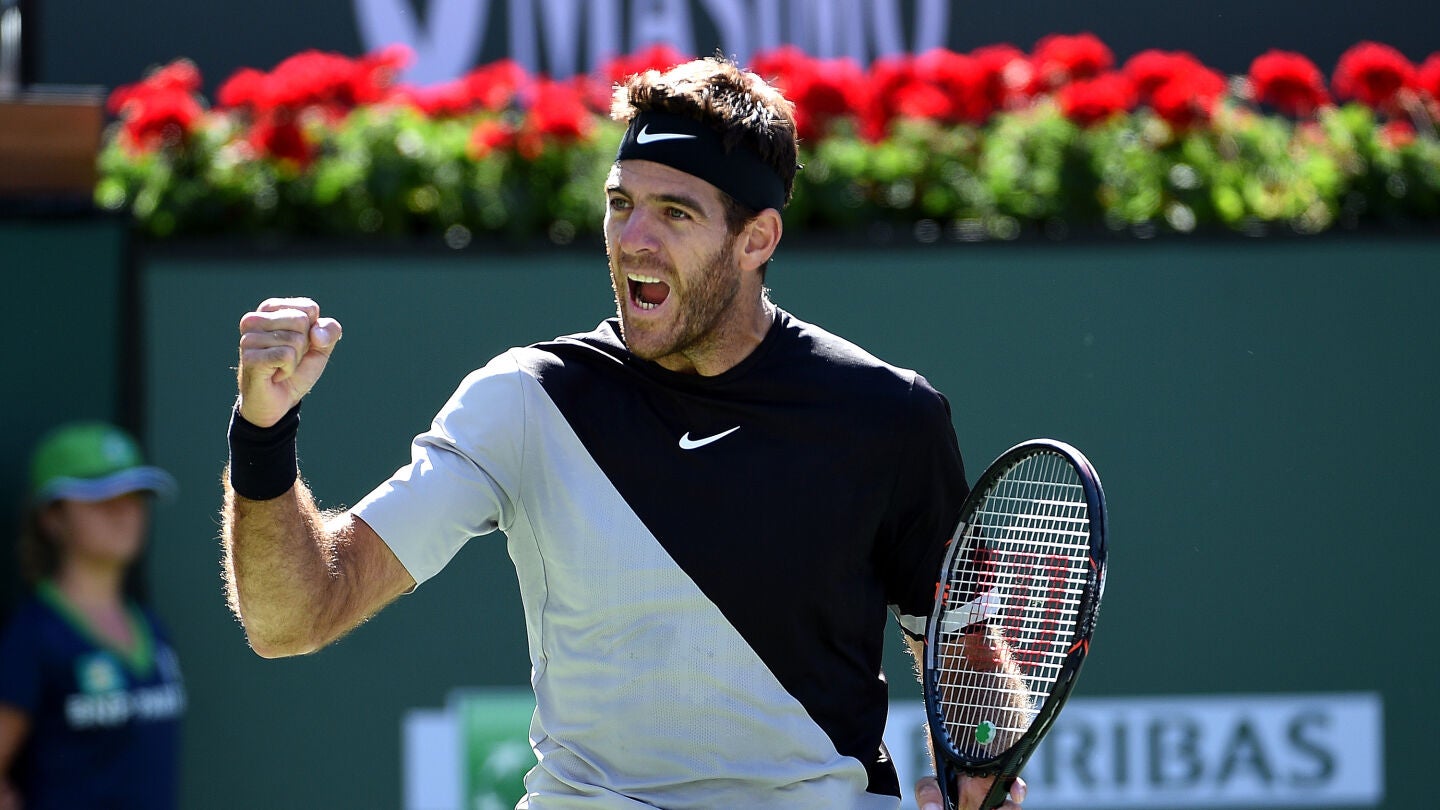 Juan Mart&iacute;n del Potro celebra la victoria