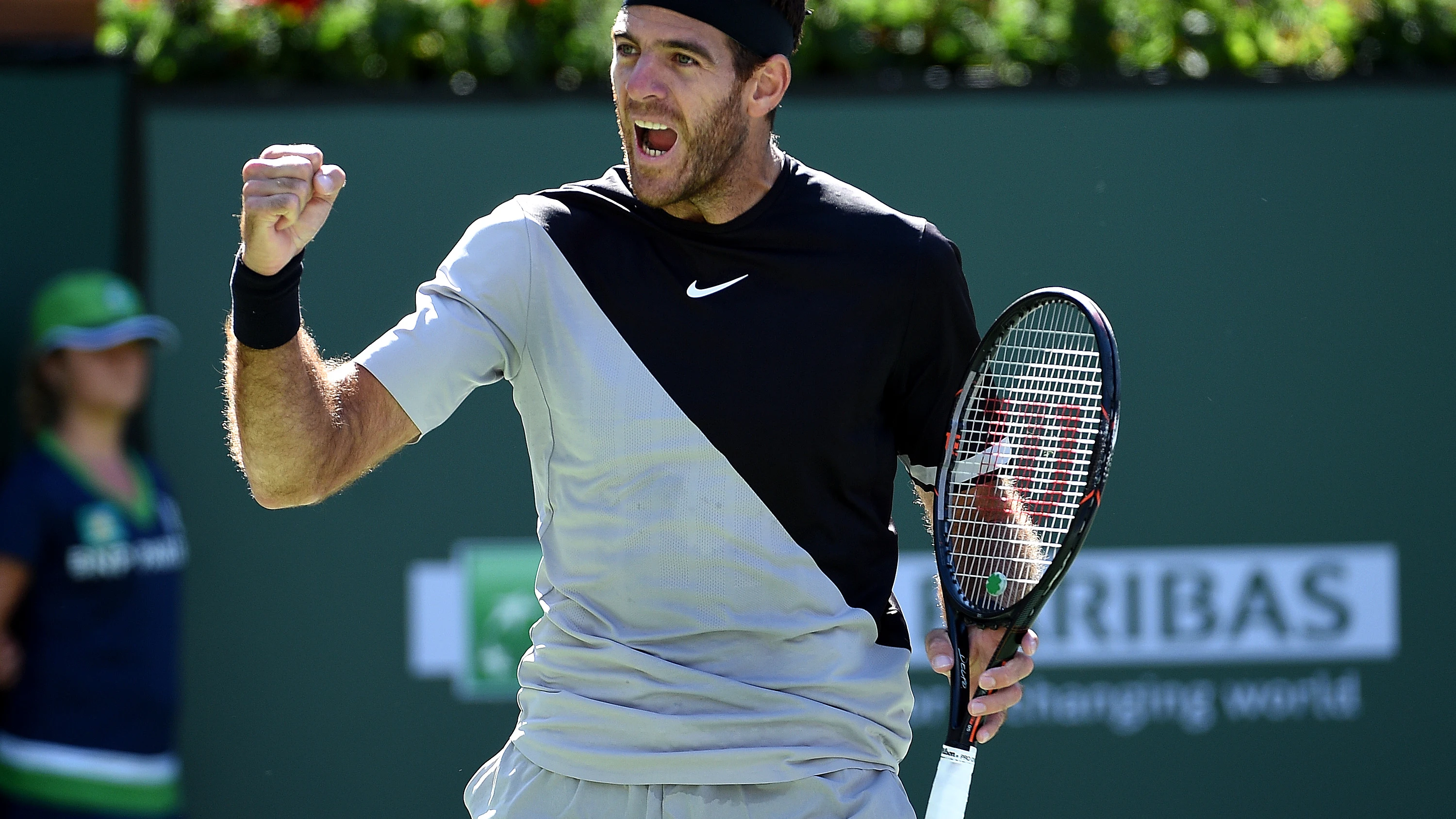 Juan Martín del Potro celebra la victoria Juan Martín del Potro celebra la victoria