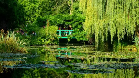 Jardín de Monet Jardín de Monet